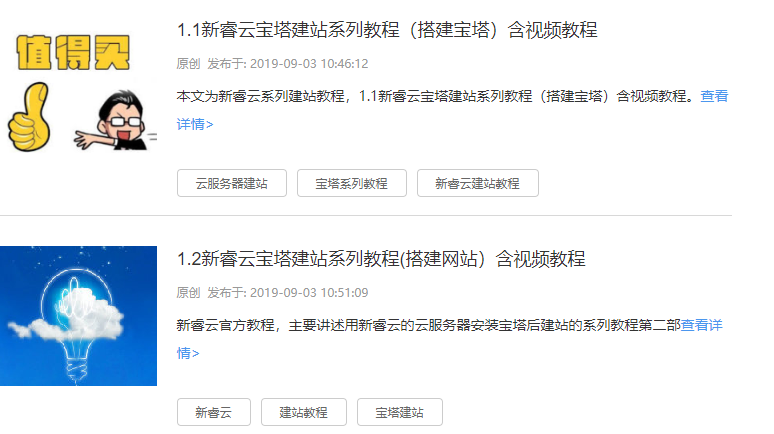 搜索出来系列“新睿云宝塔建站教程”